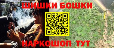 соль ск Камышлов