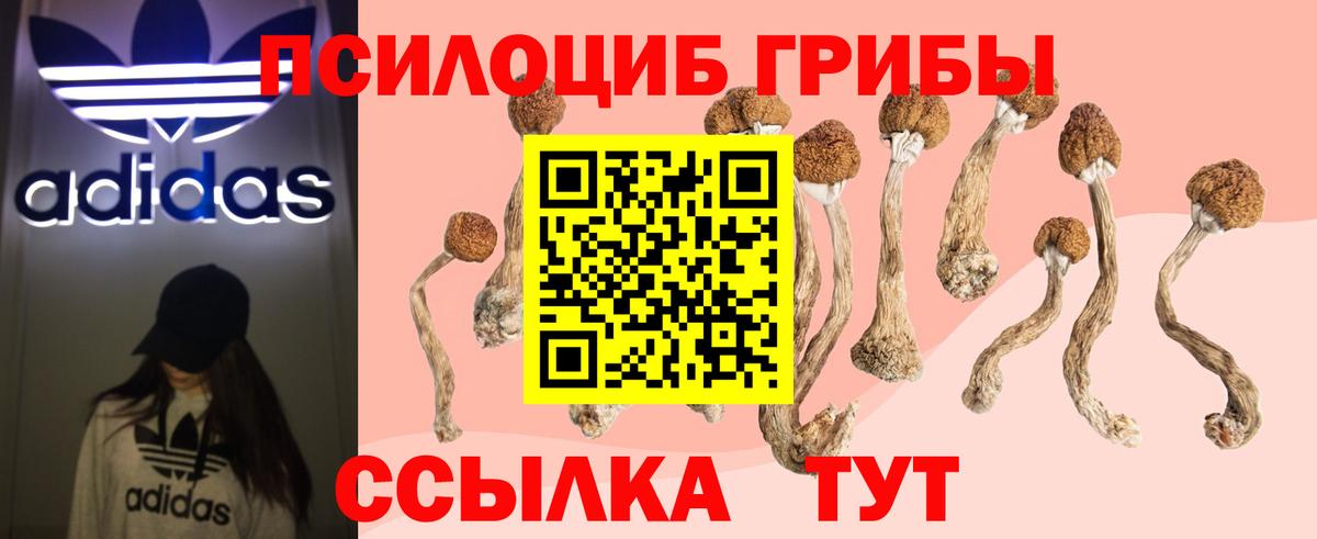 Псилоцибиновые грибы Magic Shrooms Кувандык